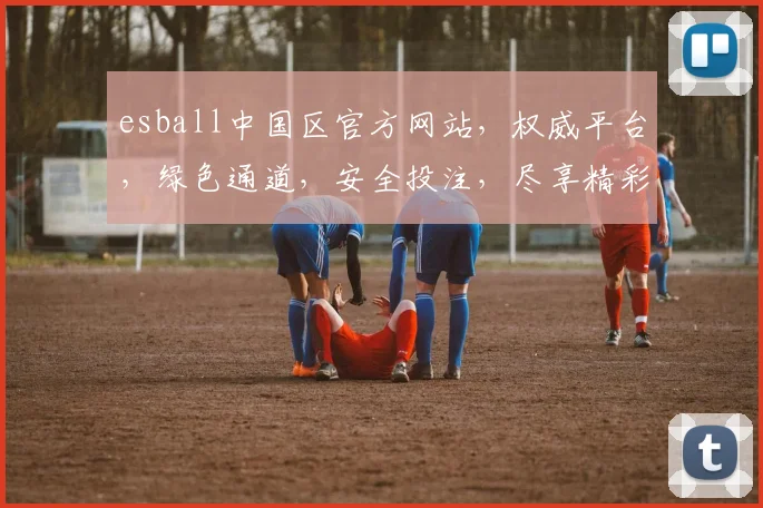 esball中国区官方网站，权威平台，绿色通道，安全投注，尽享精彩，两大特色，不容错过，必看