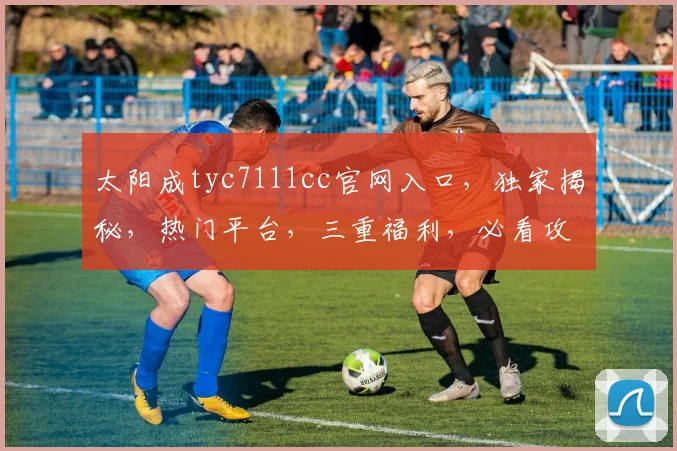 太阳成tyc7111cc官网入口，独家揭秘，热门平台，三重福利，必看攻略