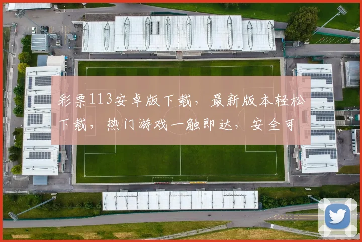 彩票113安卓版下载，最新版本轻松下载，热门游戏一触即达，安全可靠，快来体验