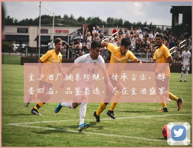 金沙酒厂嫡系珍酿，传承古法，醇香四溢，品鉴首选，尽在金酒盛宴三款佳酿。