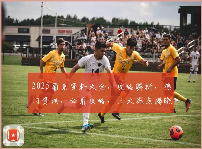 2025葡京资料大全，攻略解析，热门资讯，必看攻略，三大亮点揭晓，不容错过